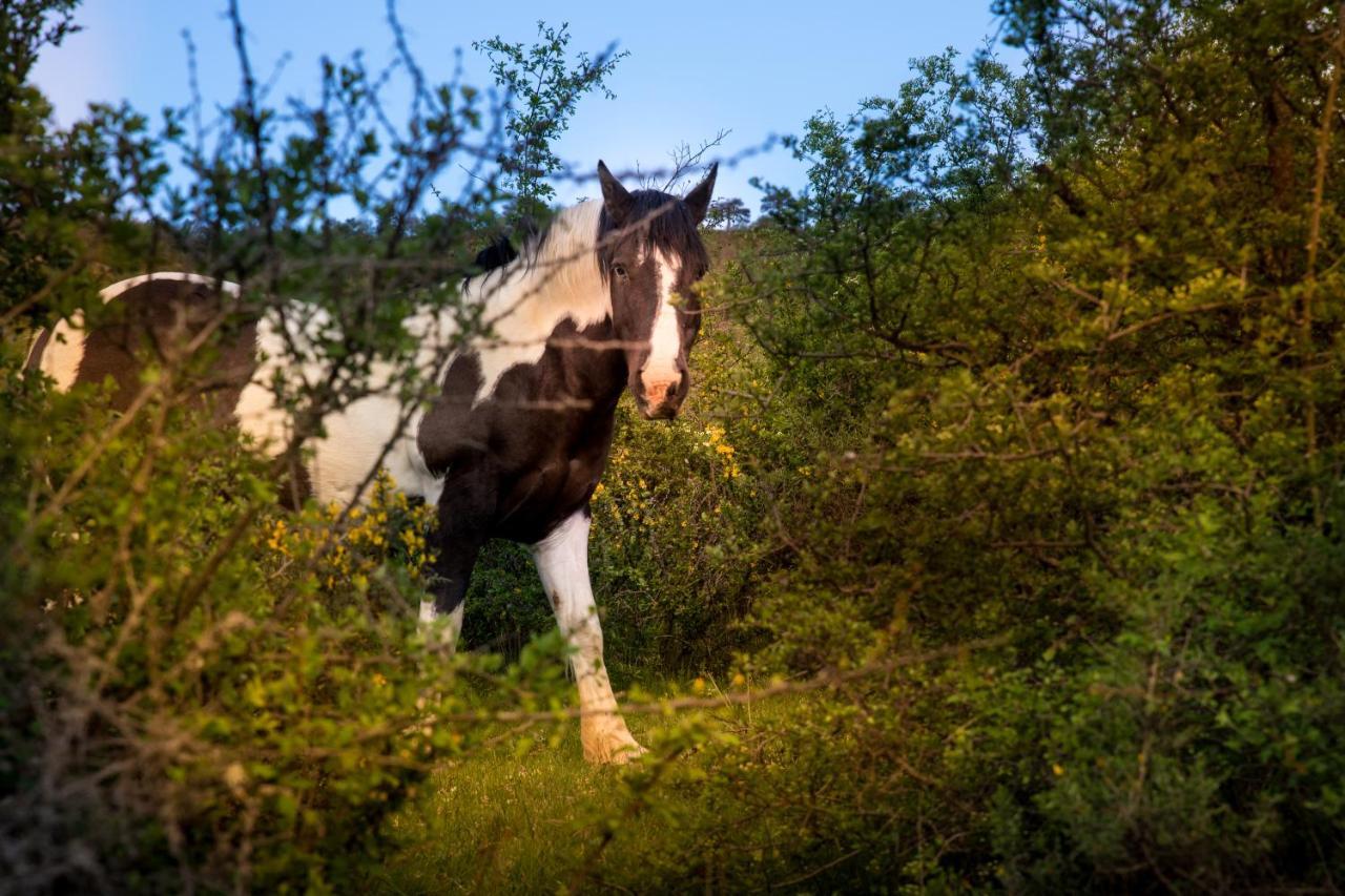 Hospedaje Rural Casa Parri Poveda de la Sierra Kültér fotó