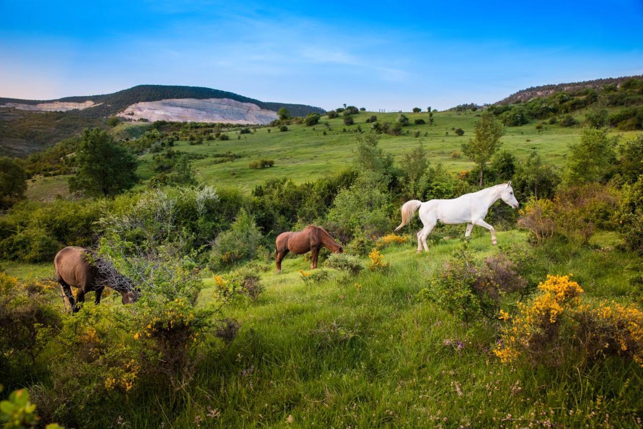 Hospedaje Rural Casa Parri Poveda de la Sierra Kültér fotó