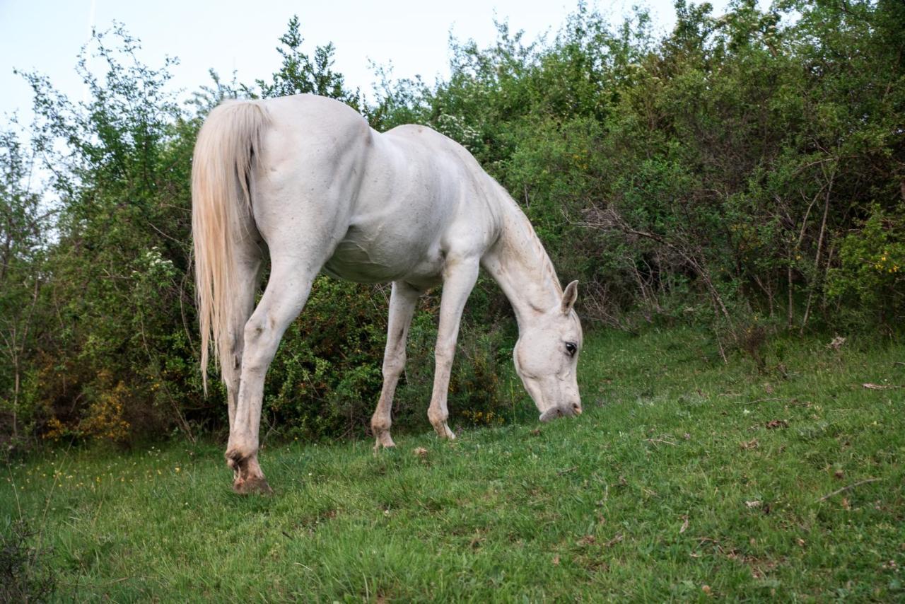 Hospedaje Rural Casa Parri Poveda de la Sierra Kültér fotó