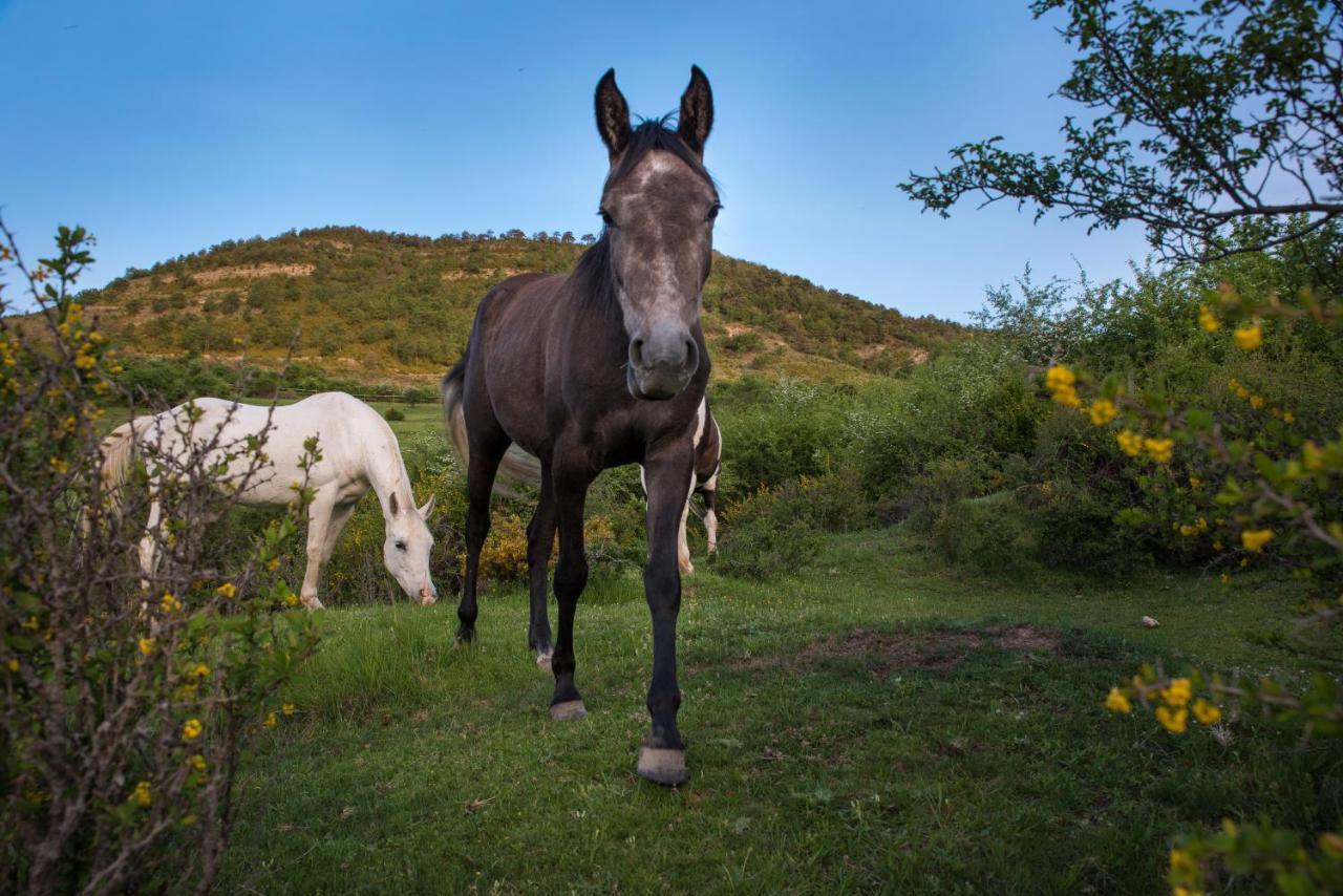Hospedaje Rural Casa Parri Poveda de la Sierra Kültér fotó